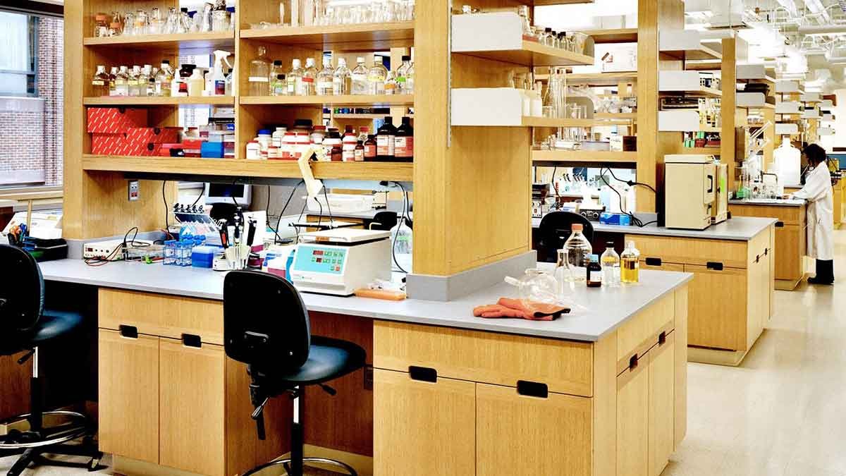 Interior view of a lab in Biosquare Research Park