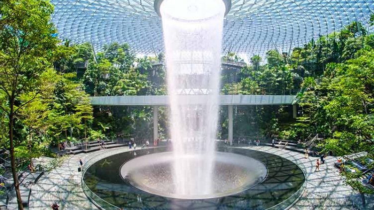 A charming water fountain at the heart of a tropical garden, surrounded by colourful blooms