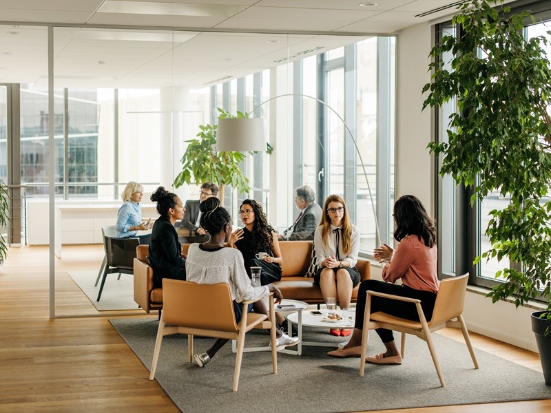 Colleagues meeting in an office